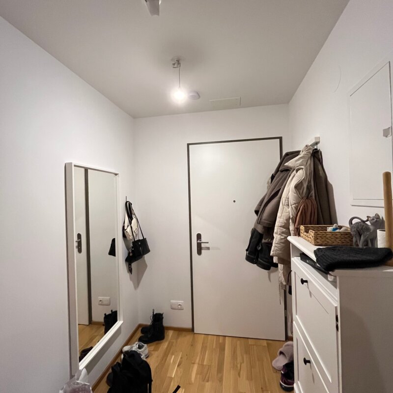 Wohnungstür mit großem Spiegel, Schuhschrank und Aufhängehaken.