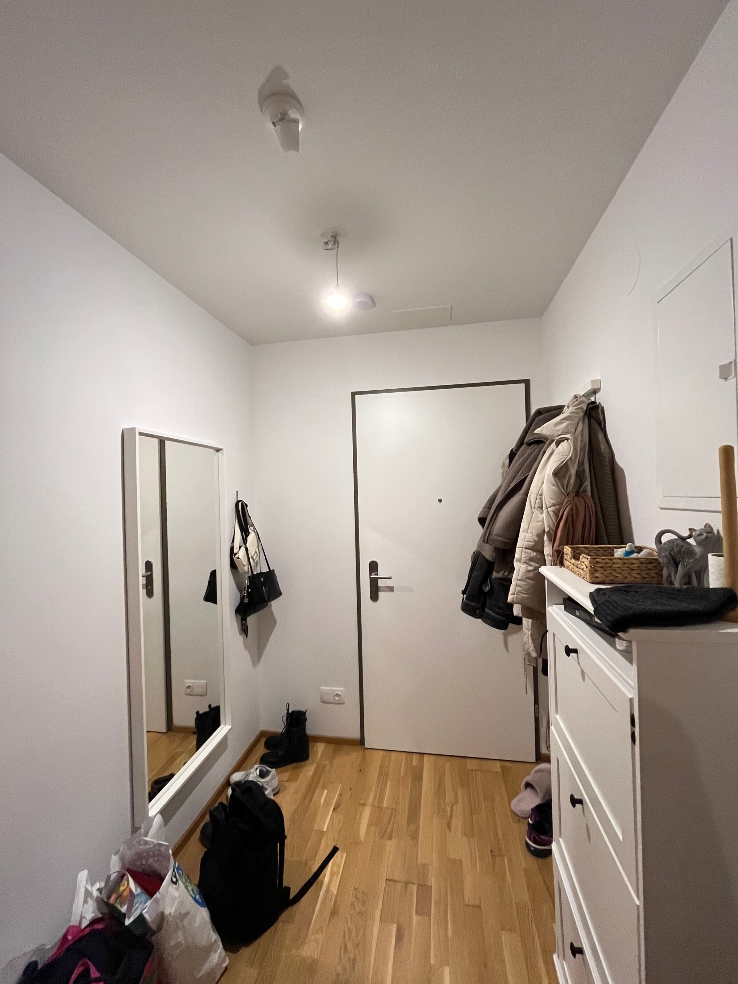 Wohnungstür mit großem Spiegel, Schuhschrank und Aufhängehaken.