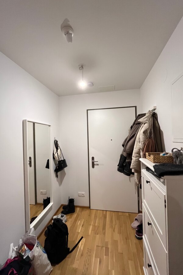 Wohnungstür mit großem Spiegel, Schuhschrank und Aufhängehaken.