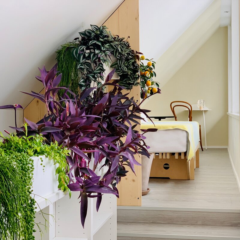 Schlafzimmer 2 - Galerie