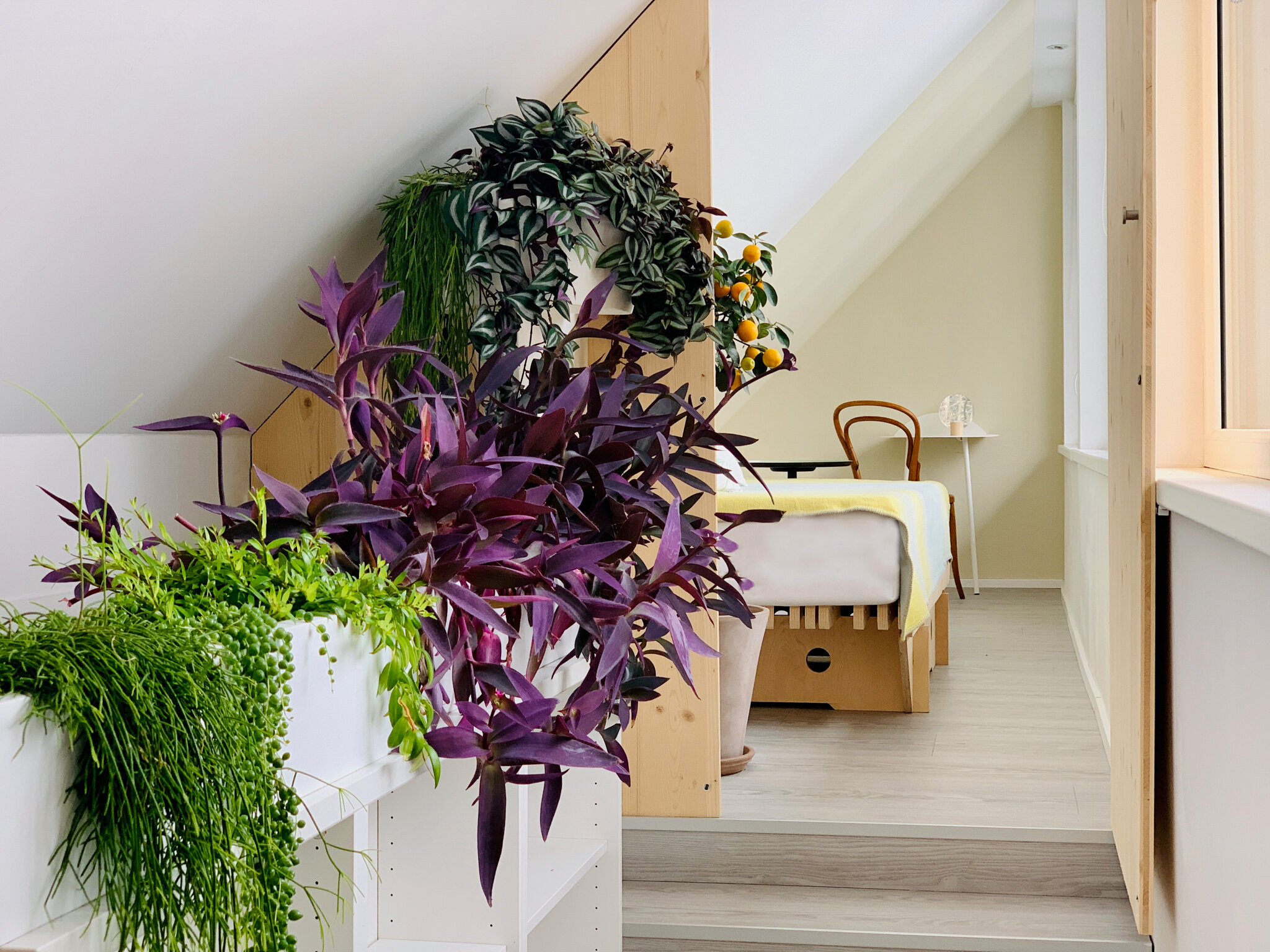 Schlafzimmer 2 - Galerie