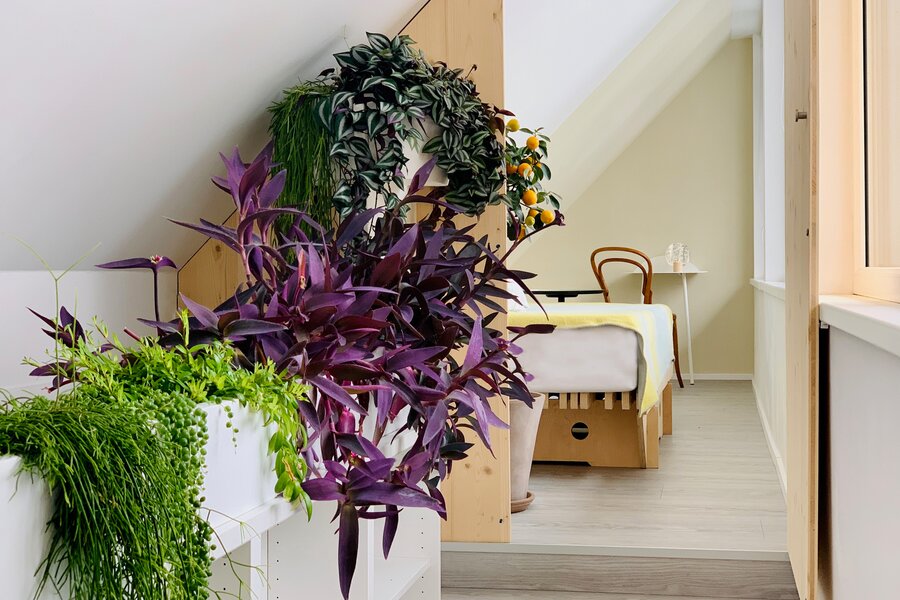 Schlafzimmer 2 - Galerie