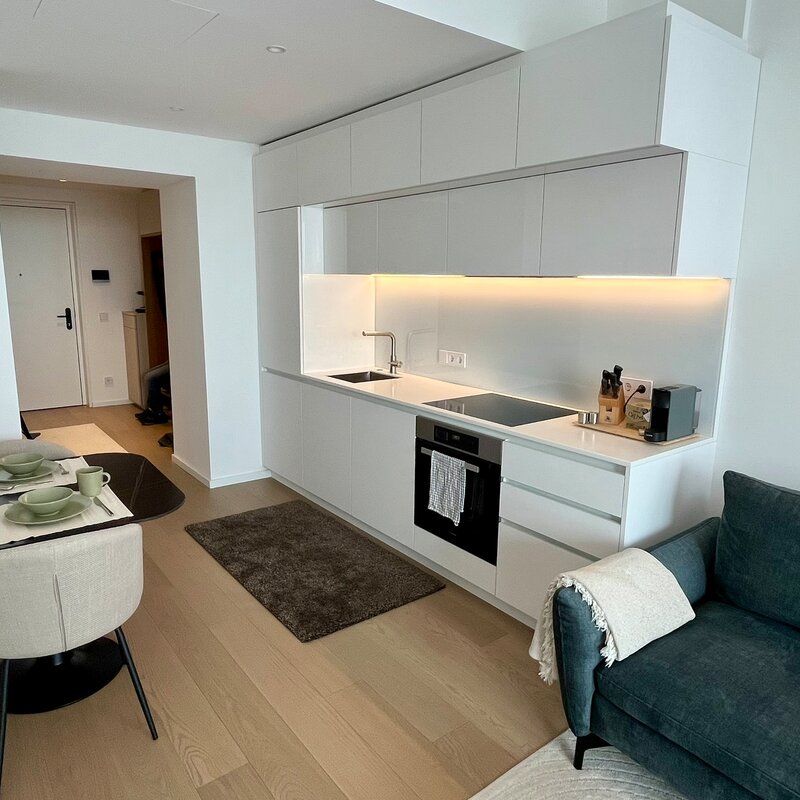 Livingroom and kitchen