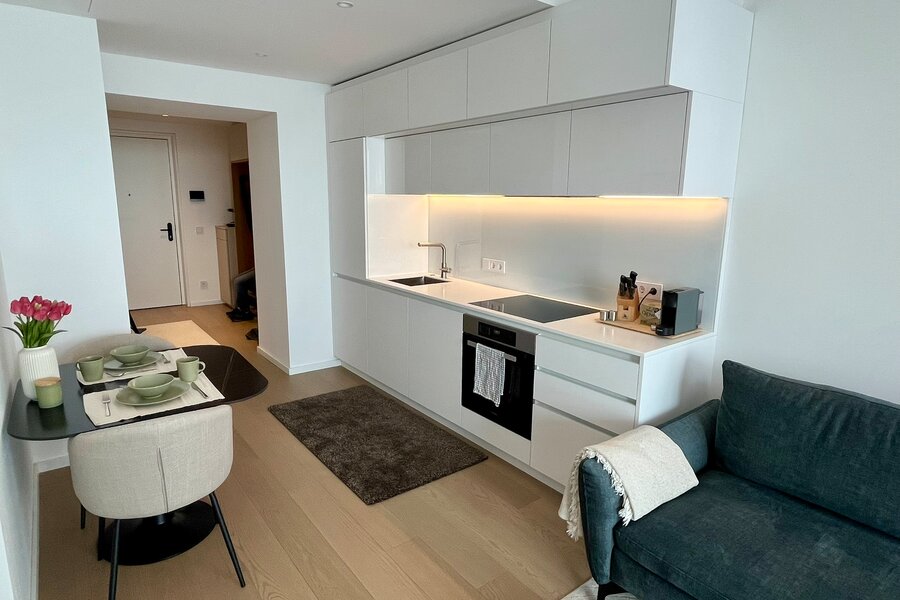 Livingroom and kitchen