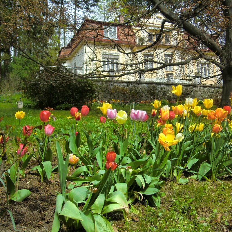 Art Nouveau villa with flower garden: 2-room apartment for short-term rental & temporary housing for 1 to 6 months in Vienna