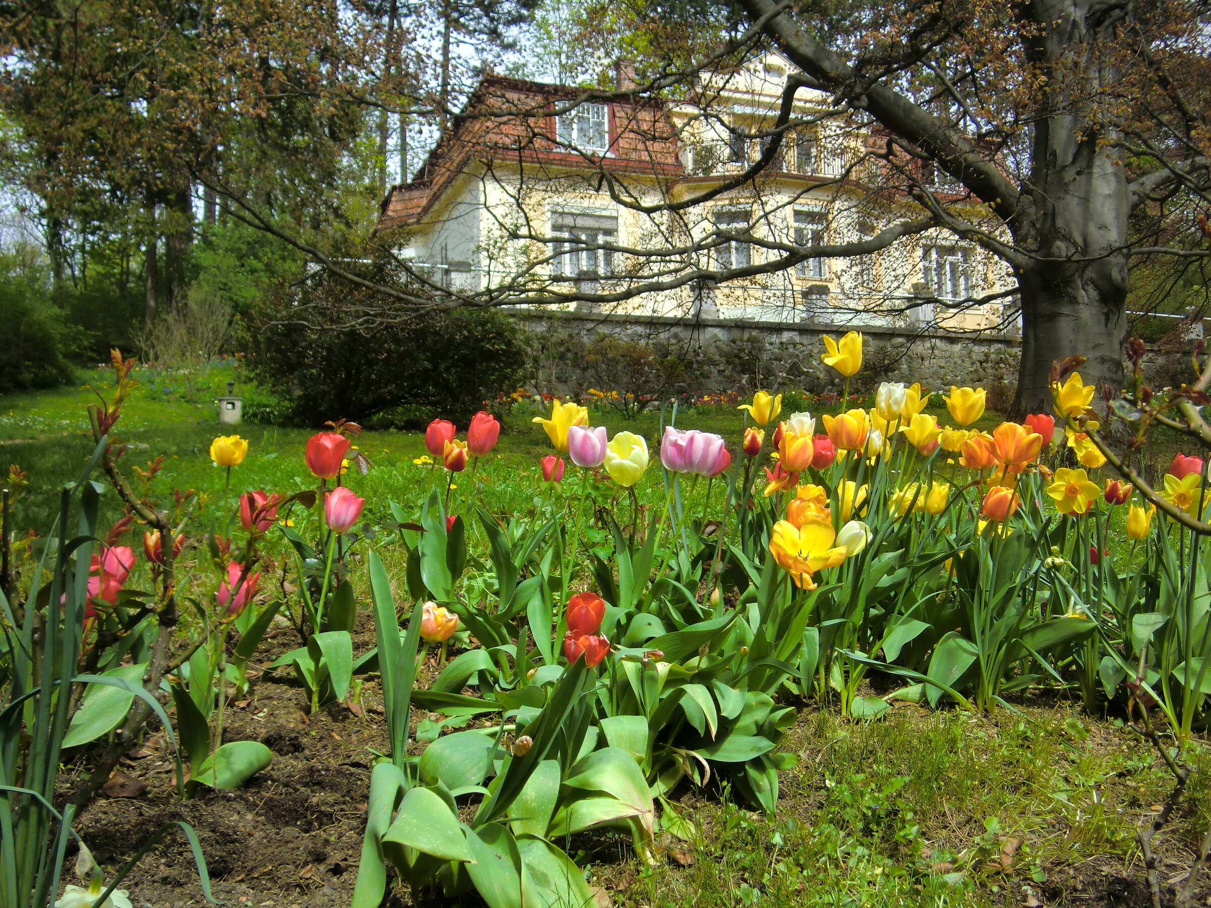 Art Nouveau villa with flower garden: 2-room apartment for short-term rental & temporary housing for 1 to 6 months in Vienna