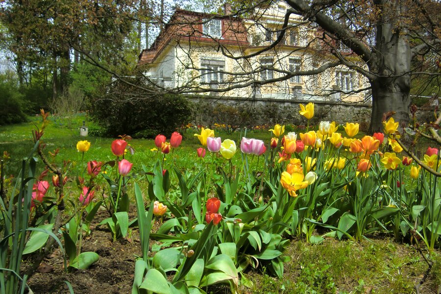 Art Nouveau villa with flower garden: 2-room apartment for short-term rental & temporary housing for 1 to 6 months in Vienna