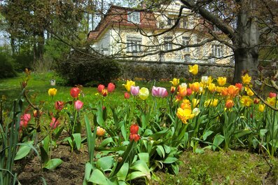 Art Nouveau villa with flower garden: 2-room apartment for short-term rental & temporary housing for 1 to 6 months in Vienna