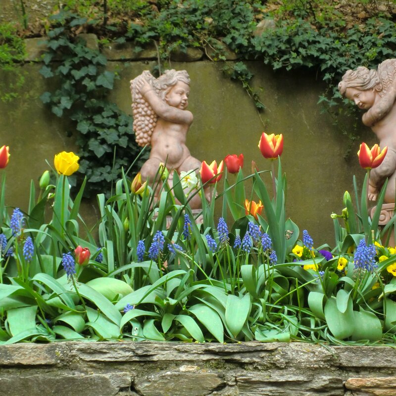 Angle status in the garden