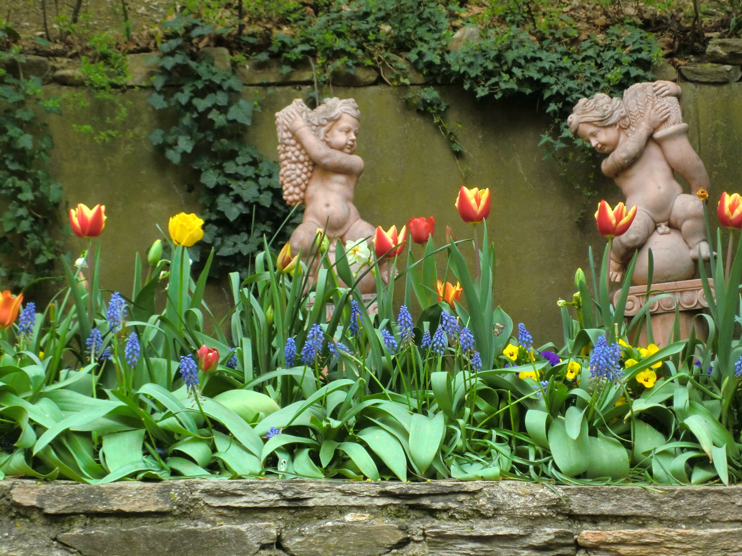 Angle status in the garden