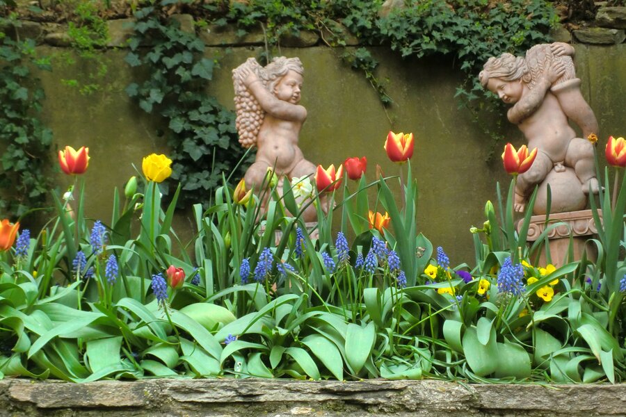 Angle status in the garden