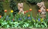 Angle status in the garden