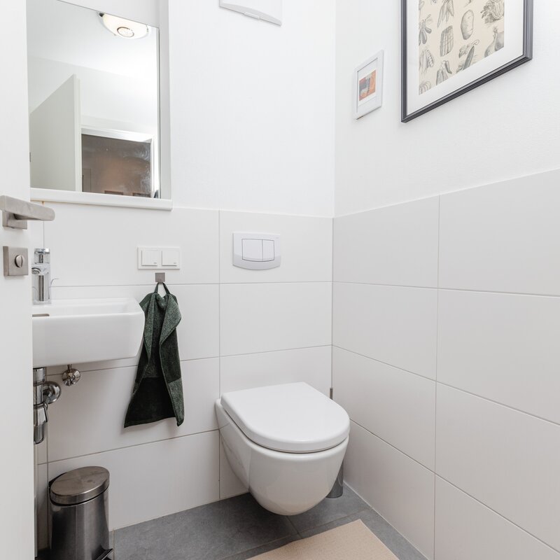 Guest toilet