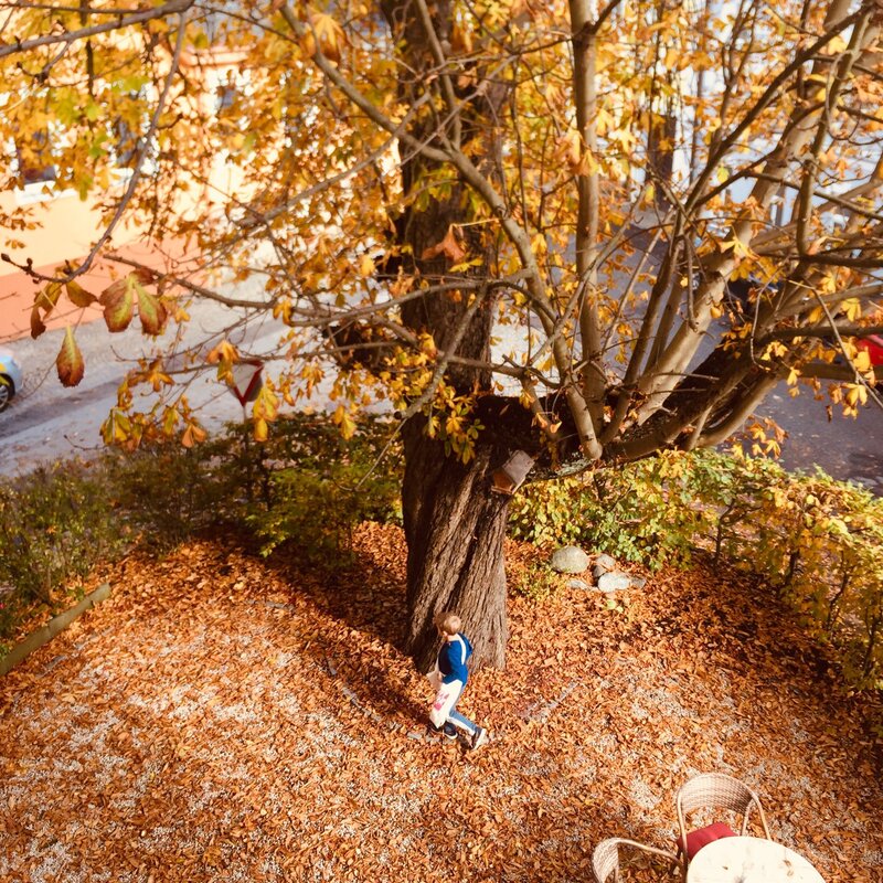 Katanienbaum im Gastgarten: Aussicht Schlafzimmer1 und Wohnzimmer