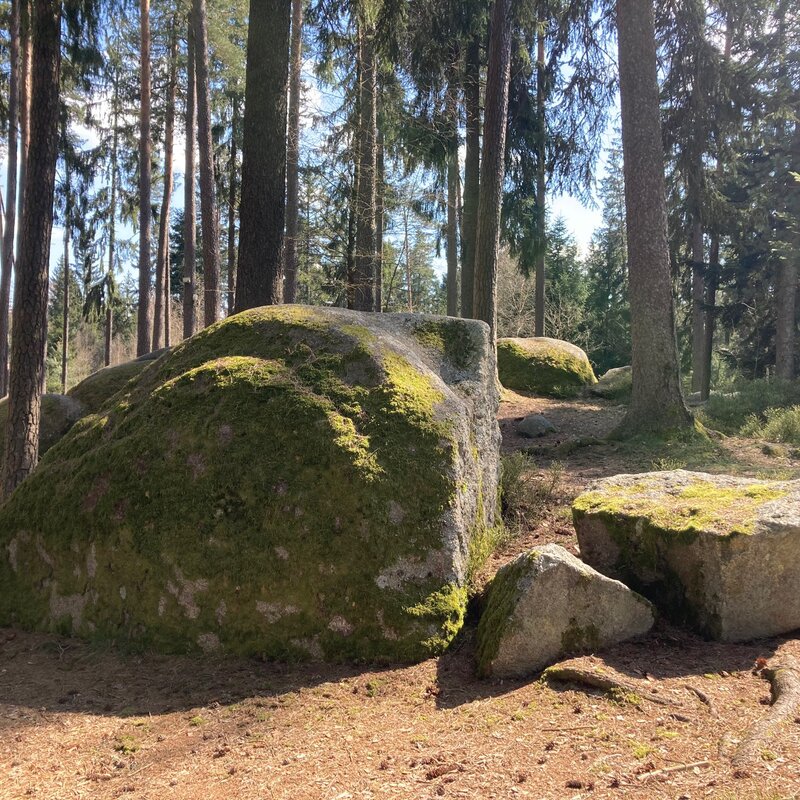 natural preserve in the area