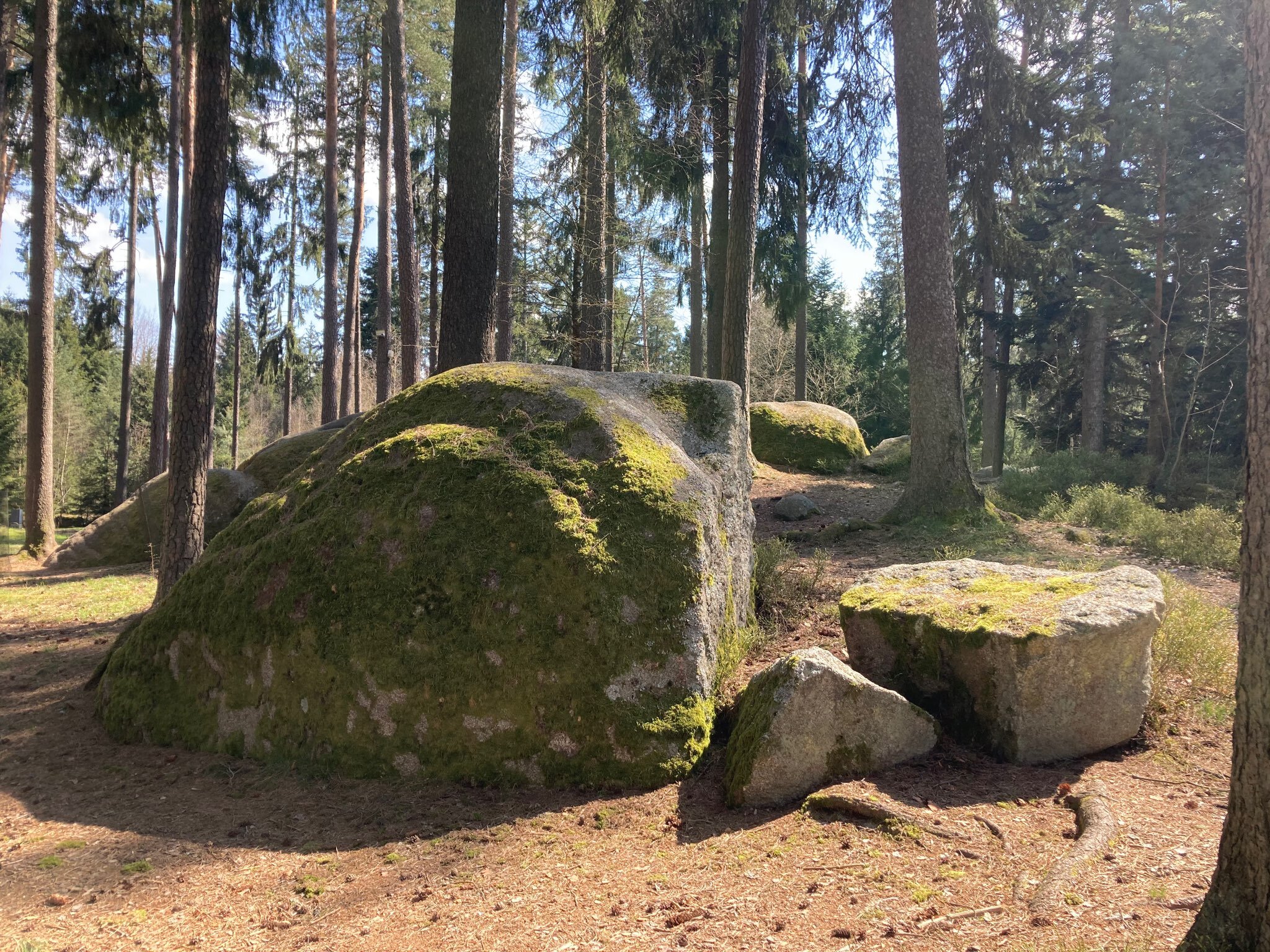 natural preserve in the area