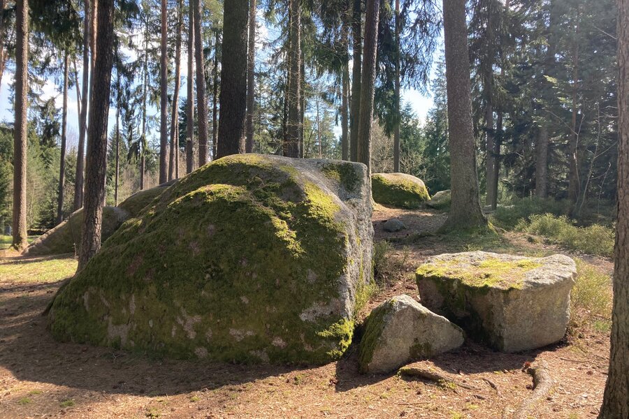 natural preserve in the area