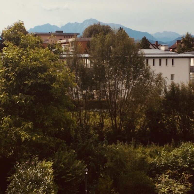 Blick auf den Untersberg