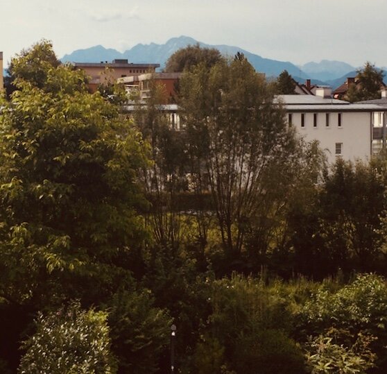 Blick auf den Untersberg