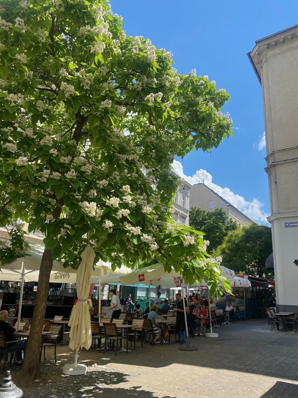 Kutscherkermarkt - one of the restaurants