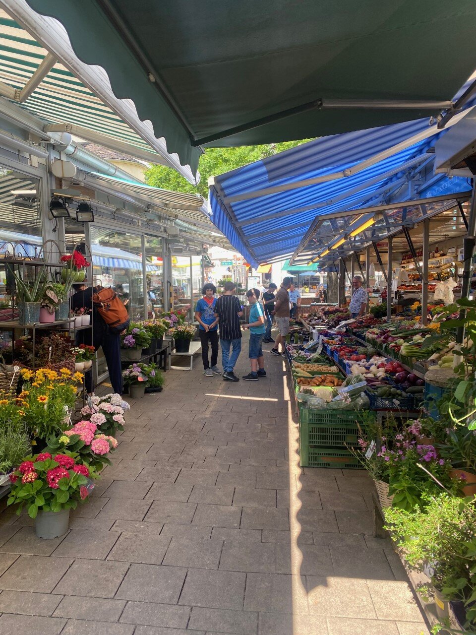 Kutschkermarkt