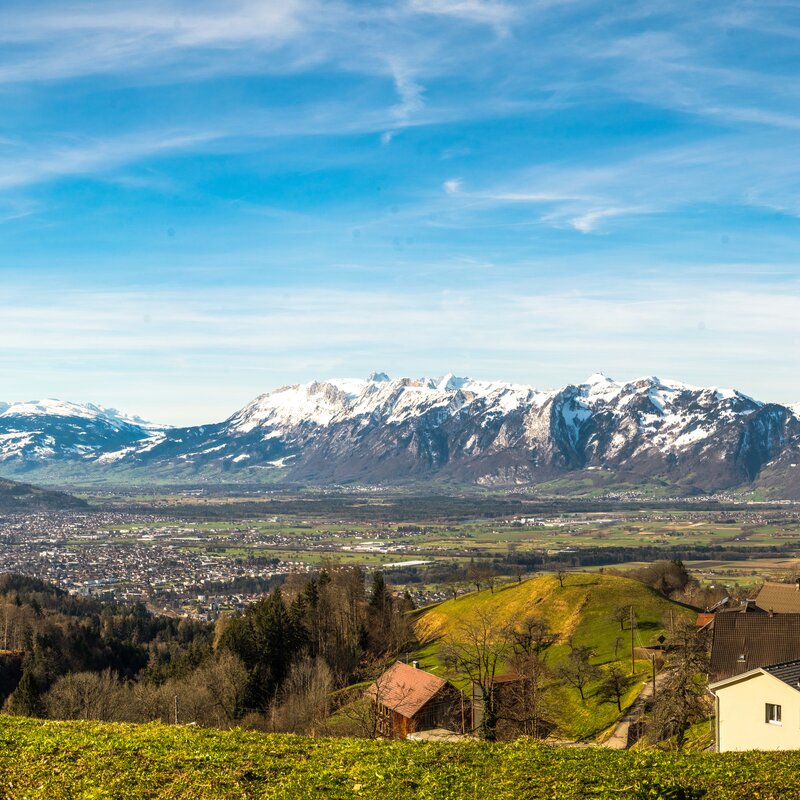 Valley of the river Rhine & Swiss mountains