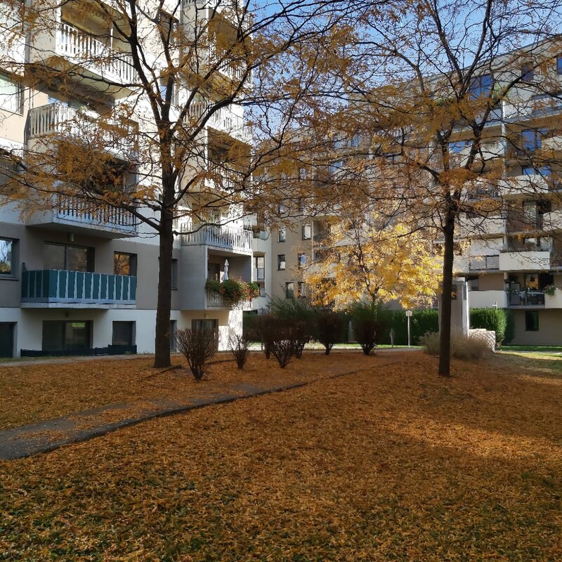 Herbstlicher Innenhof mit Bäumen: 2-Zimmer-Wohnung, Kurzzeitmiete & Wohnen auf Zeit für 1 bis 6 Monate in Wien