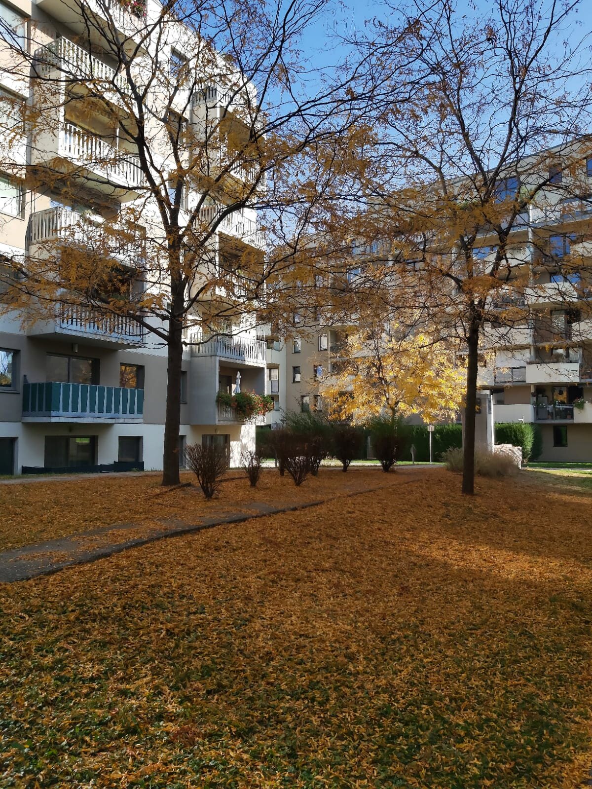 Herbstlicher Innenhof mit Bäumen: 2-Zimmer-Wohnung, Kurzzeitmiete & Wohnen auf Zeit für 1 bis 6 Monate in Wien