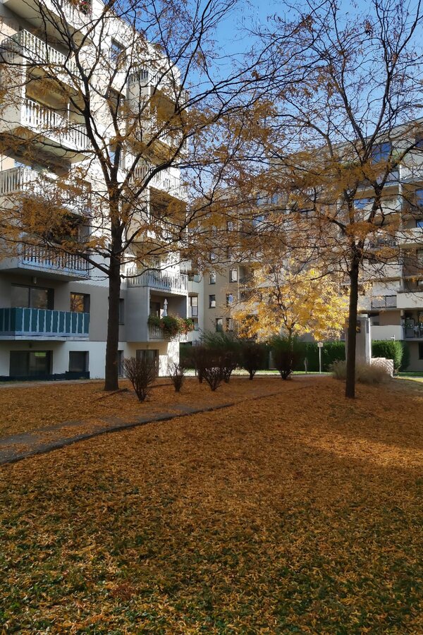 Herbstlicher Innenhof mit Bäumen: 2-Zimmer-Wohnung, Kurzzeitmiete & Wohnen auf Zeit für 1 bis 6 Monate in Wien