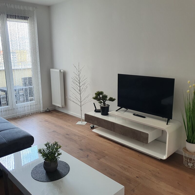 Helles Wohnzimmer mit modernem TV-Möbel & Sofa – 2-Zimmer-Wohnung Kurzzeitmiete Wien, Wohnen auf Zeit 1 bis 6 Monate