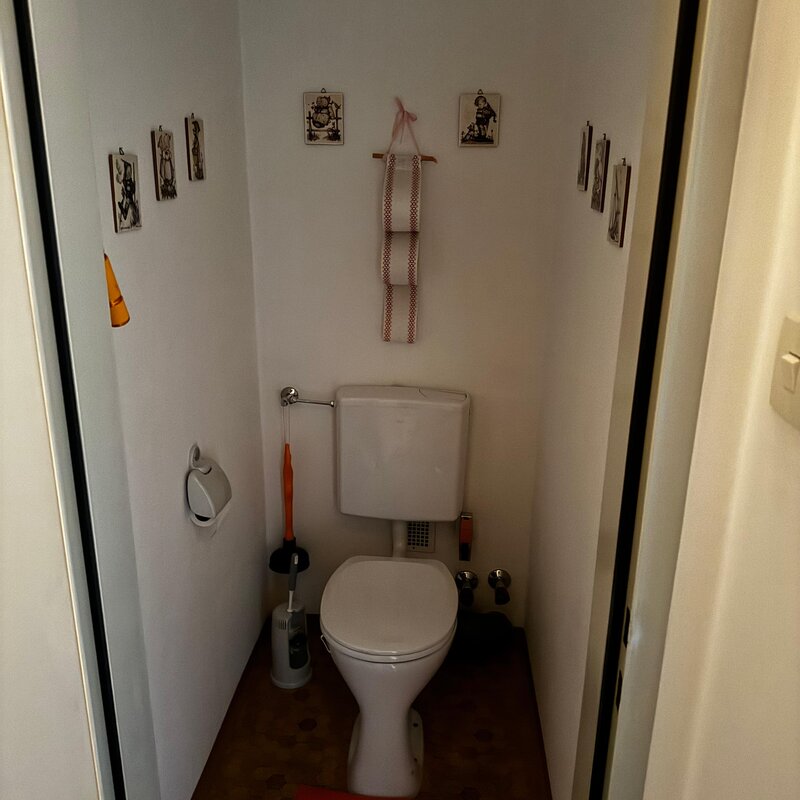 Das separate WC bietet zusätzlichen Komfort und ist funktional eingerichtet. Es verfügt über ein Hänge-WC. | © Stefan Gabriel