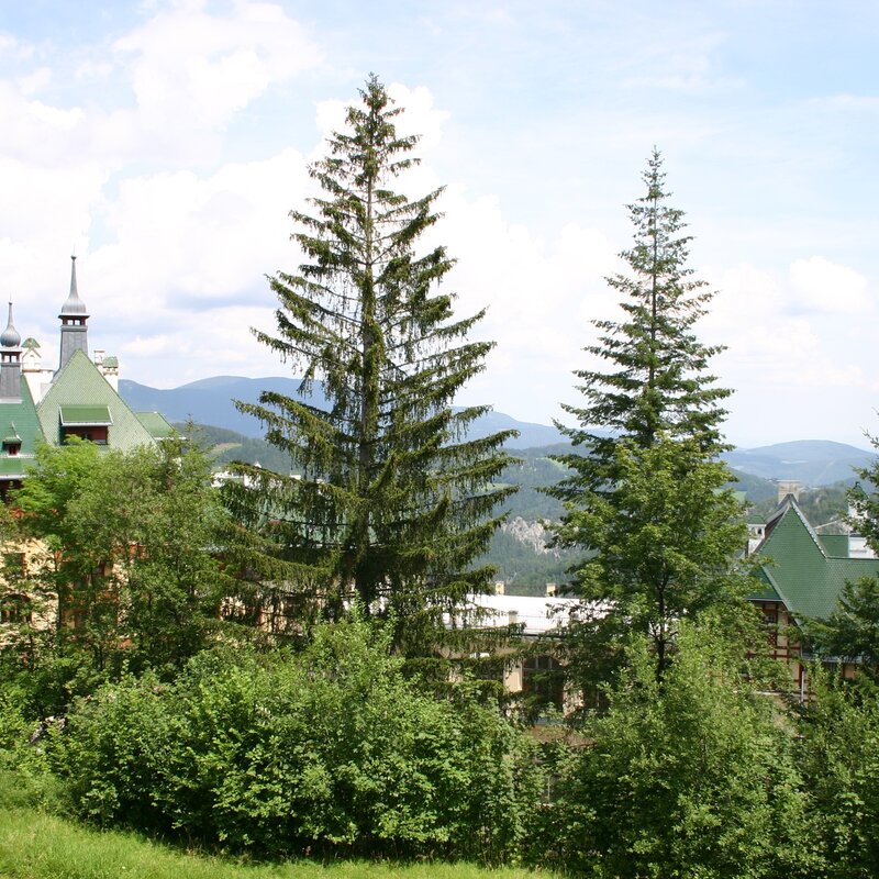 Das Südbahnhotel im Hintergrund Schneeberg und Rax