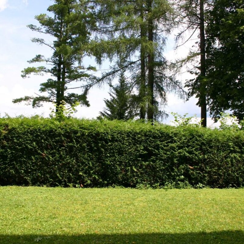 Garten direkt vor der Küche