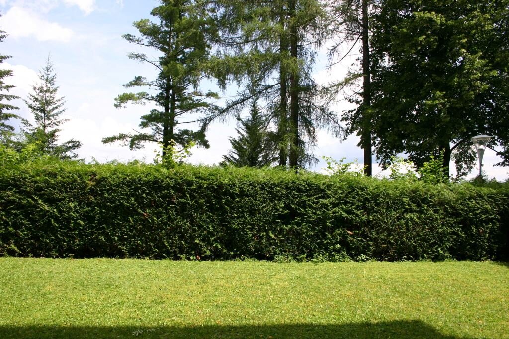 Garten direkt vor der Küche