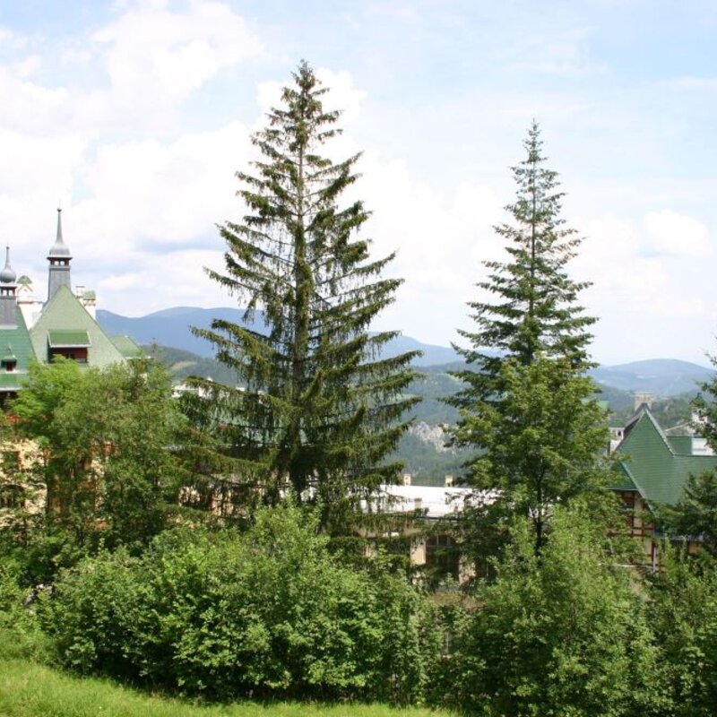 Ausblick vom Garten 
