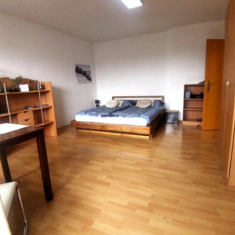 Bright 1-room apartment with parquet floor & double bed – short-term rental Graz, temporary housing for 1 to 6 months