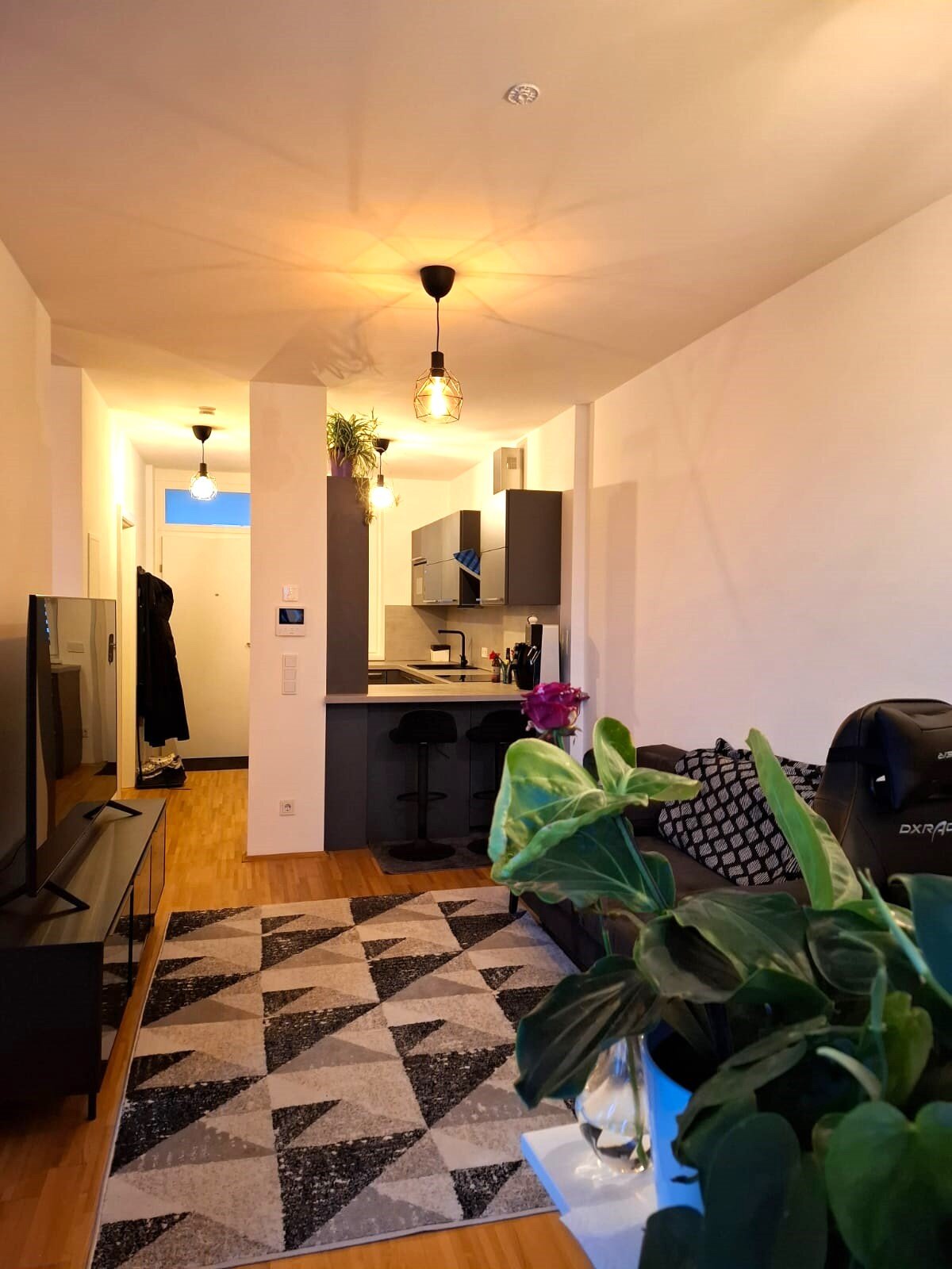 Bright living area with open kitchen – 1-room apartment for short-term rental in Graz, temporary housing for 1 to 6 months.