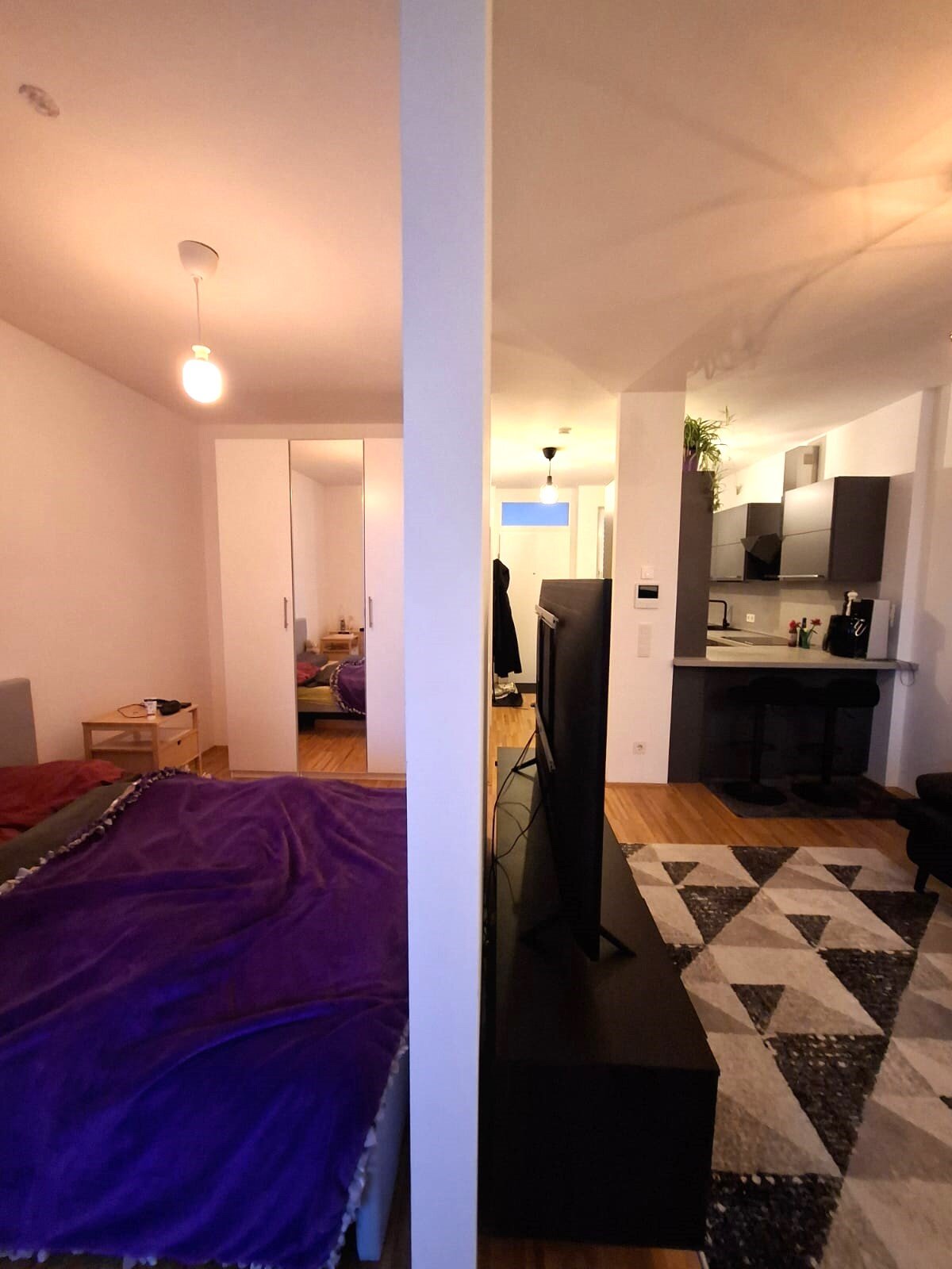 Whole Apartement