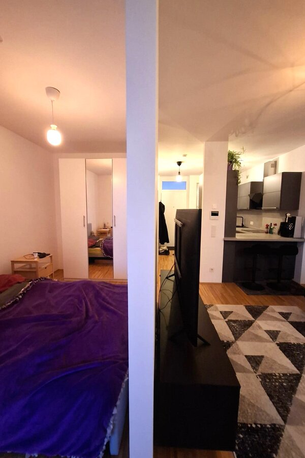 Whole Apartement
