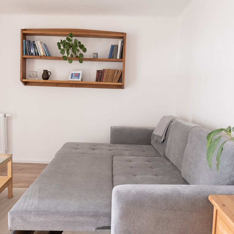 New pull-out couch