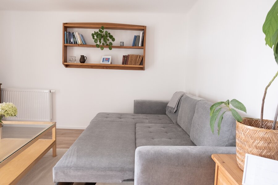 New pull-out couch