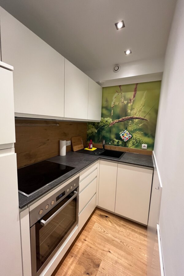 Küche mit Herd, Backrohr, Geschirrspüler, Kühlschrank und Gefrierschrank