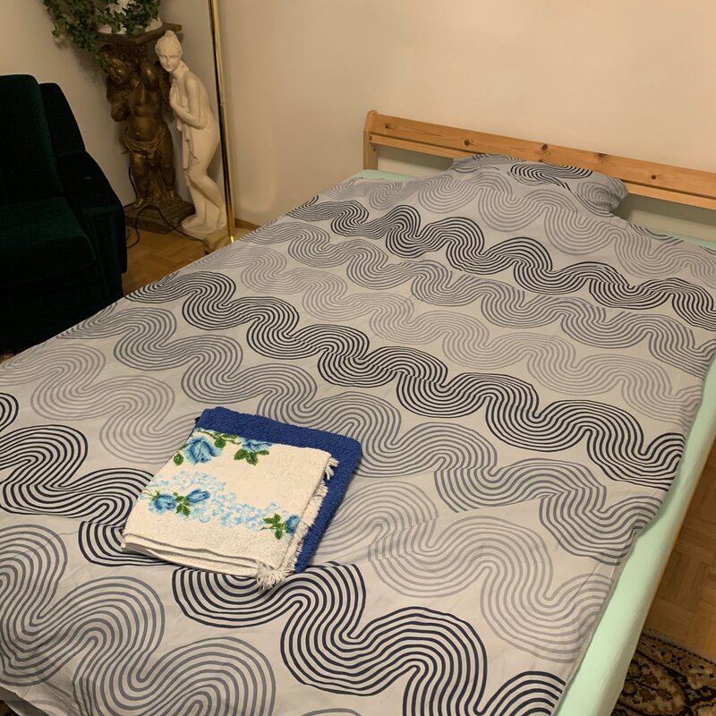 Furnished bedroom with double bed – 1-room apartment for short-term rental & temporary housing for 1 to 6 months in Graz