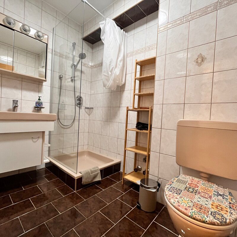 Washbasin, shower, toilet | © @pmb