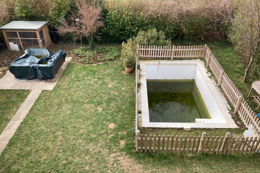 Garten mit Pool