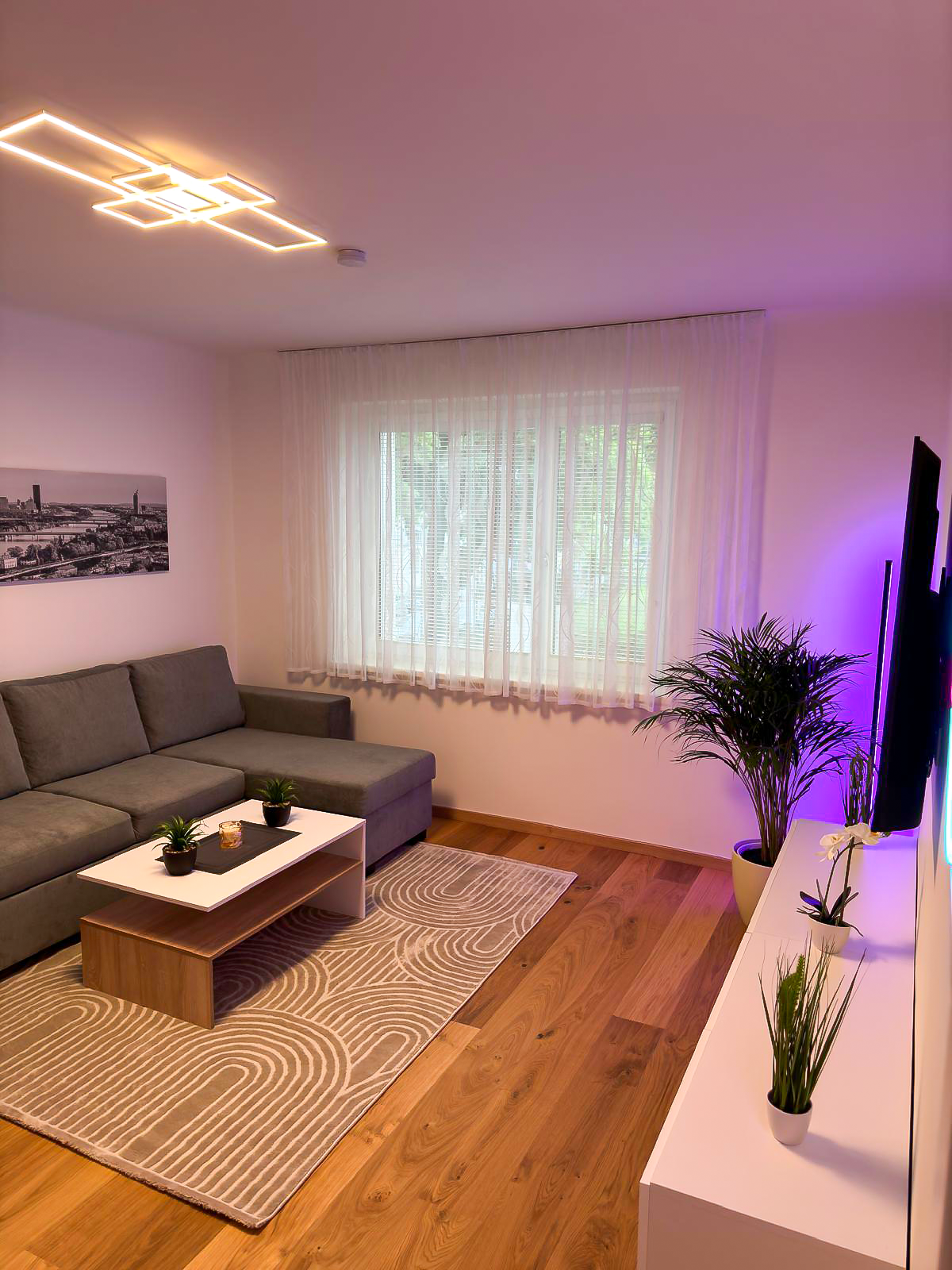 Wohn- Esszimmer