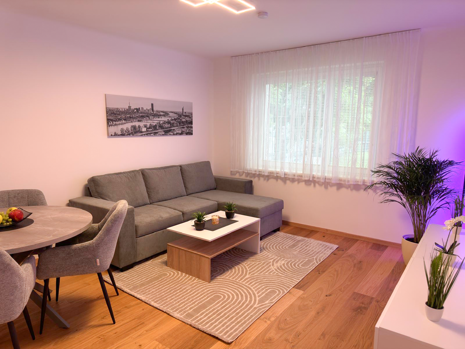 Wohn- Esszimmer