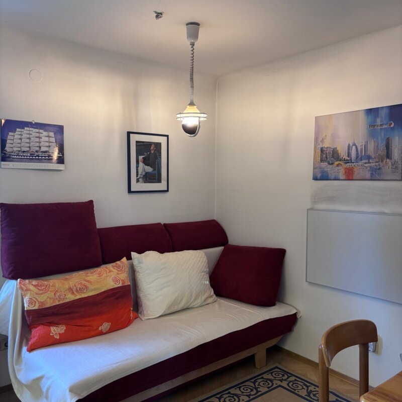 Das Schlafsofa befindet sich im Wohnzimmer. Auf der rechten Seite befindet sich ein Infrarot-Heizpanel