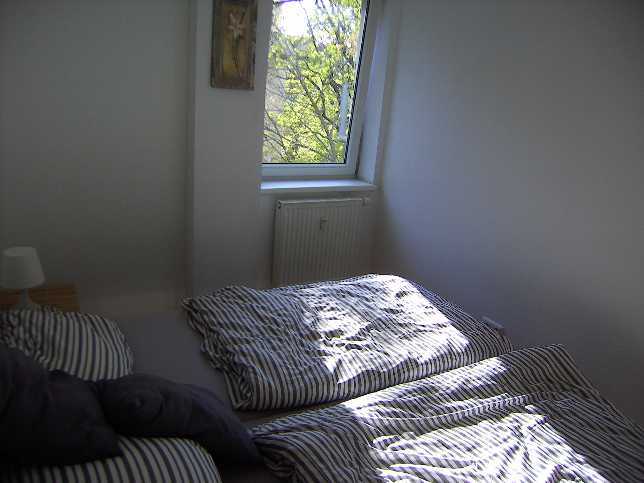 Bedroom with a view of the window