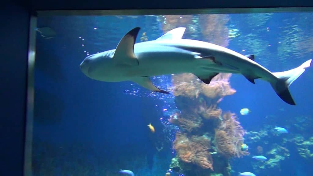 The famous nature museum scores particularly well in bad weather